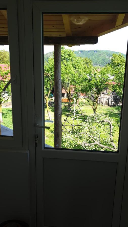 Pensiunea Patricia Oesti-Paminteni Oda fotoğraf