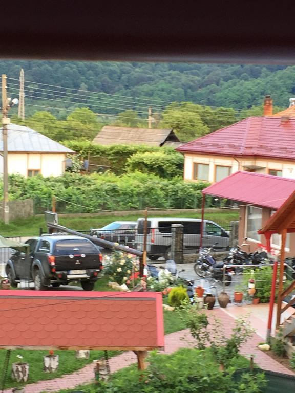 Pensiunea Patricia Oesti-Paminteni Oda fotoğraf